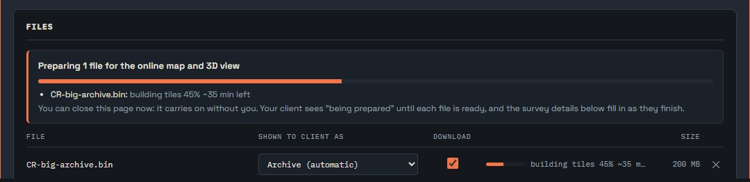 Files: one line per file, with what it is, the download tick, its own progress and size.