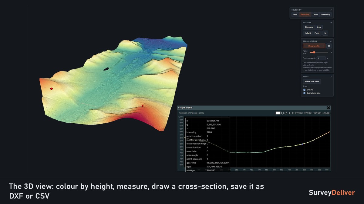 The 3D view with colour by height and a cross-section