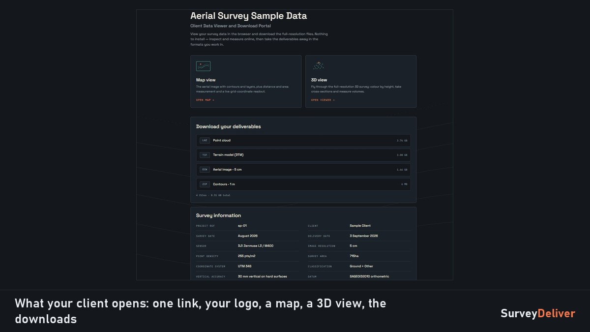 What the client opens: the viewers, the downloads and the survey details